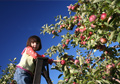 foodservice management sustainability